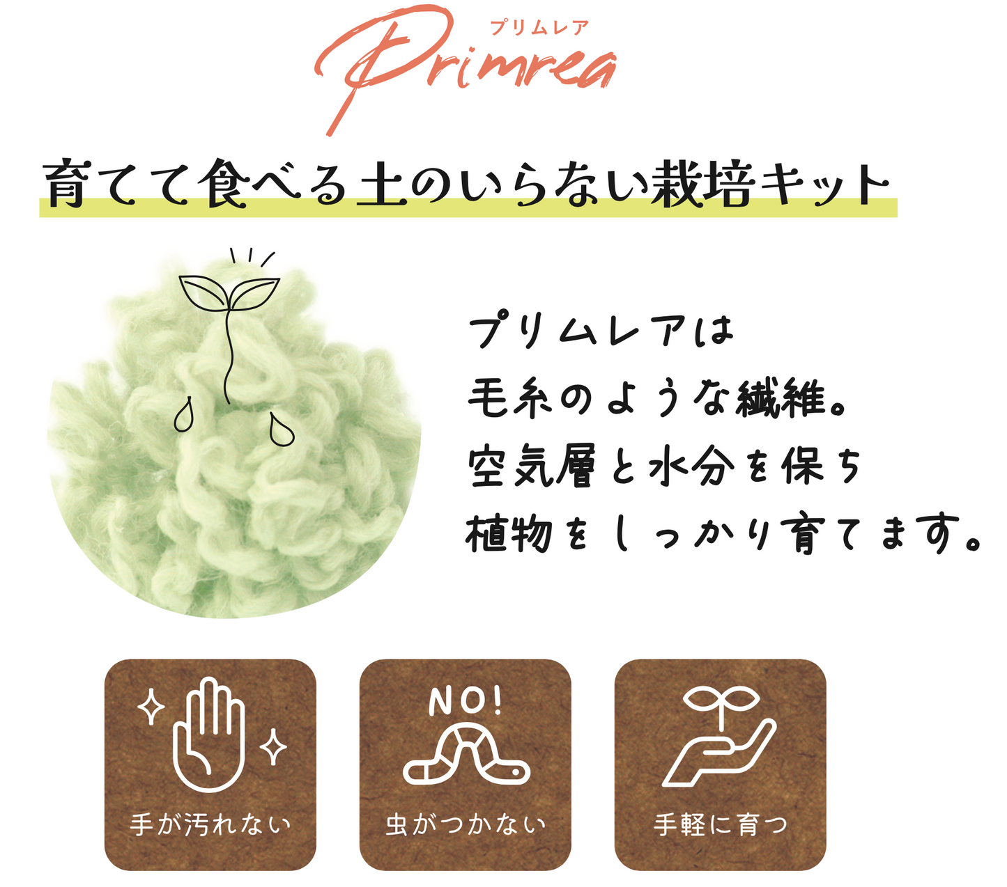 【育てて食べる】プリムレアキット