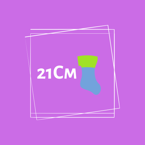 【21cm】靴下