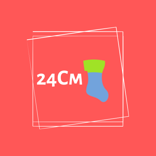 【24cm】靴下
