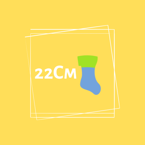 【22cm】靴下
