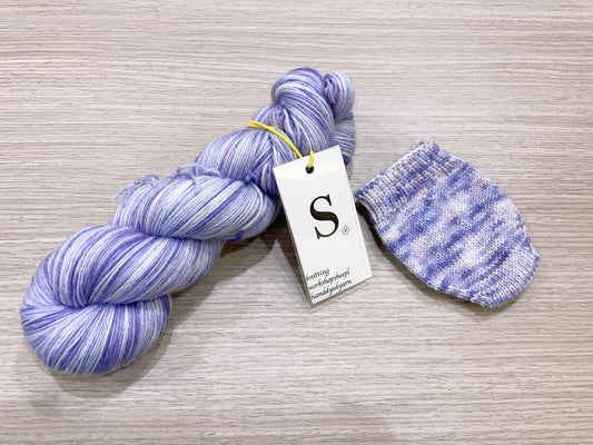【Sheepl handdyed yarn 】S528 100g